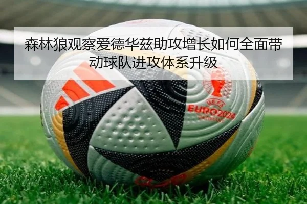 森林狼观察爱德华兹助攻增长如何全面带动球队进攻体系升级
